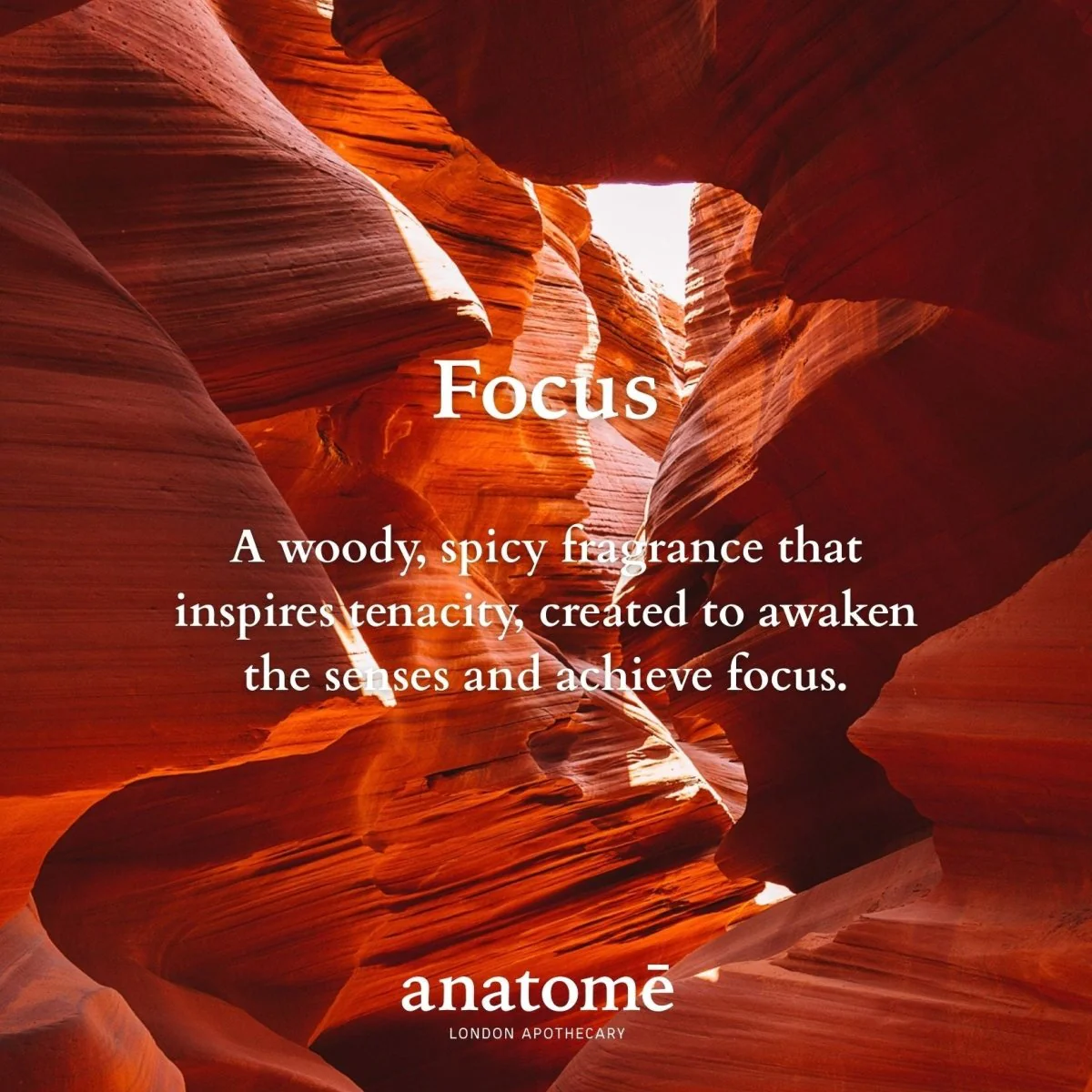 Anatomē - Focus Functional Parfum - Image 3