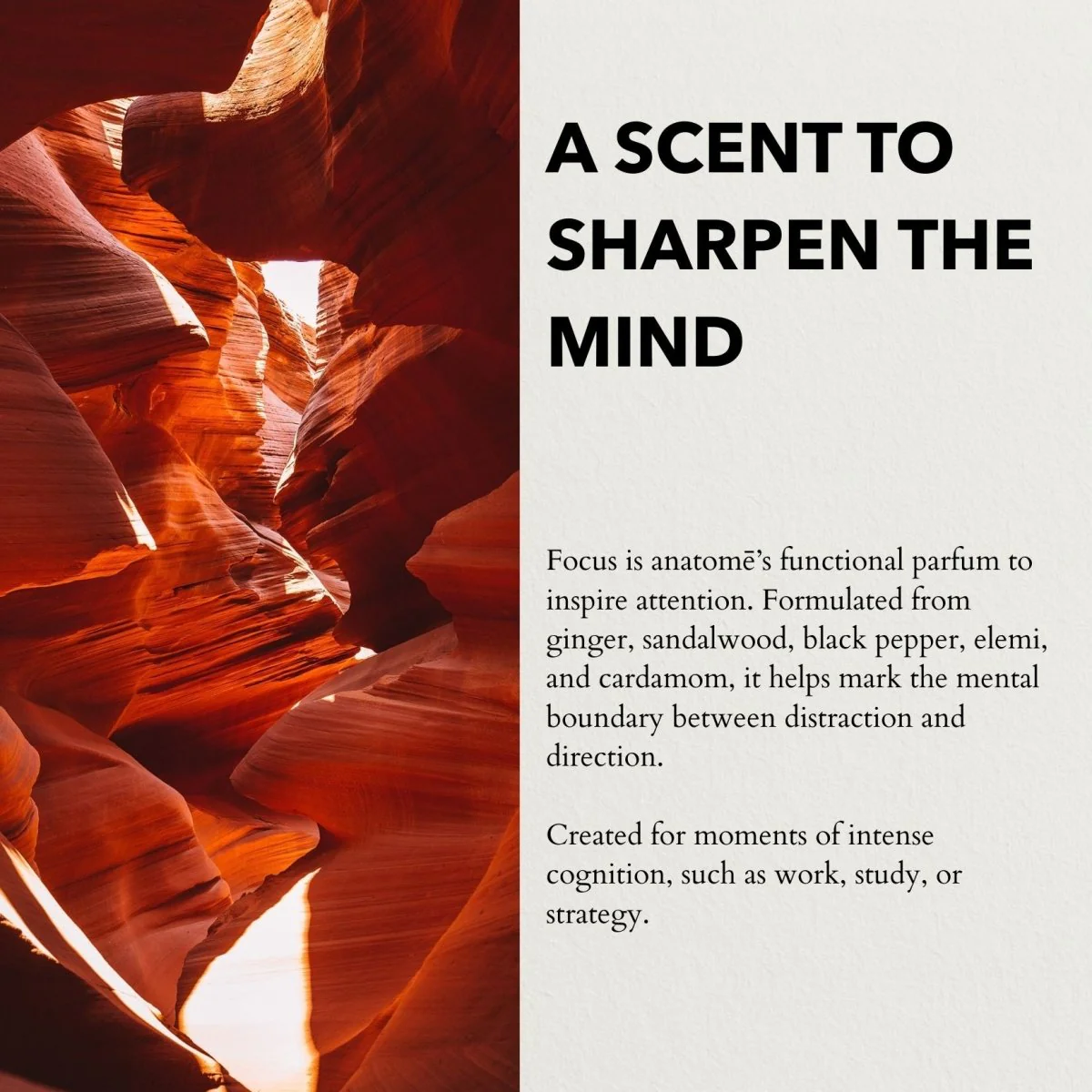 Anatomē - Focus Functional Parfum - Image 4