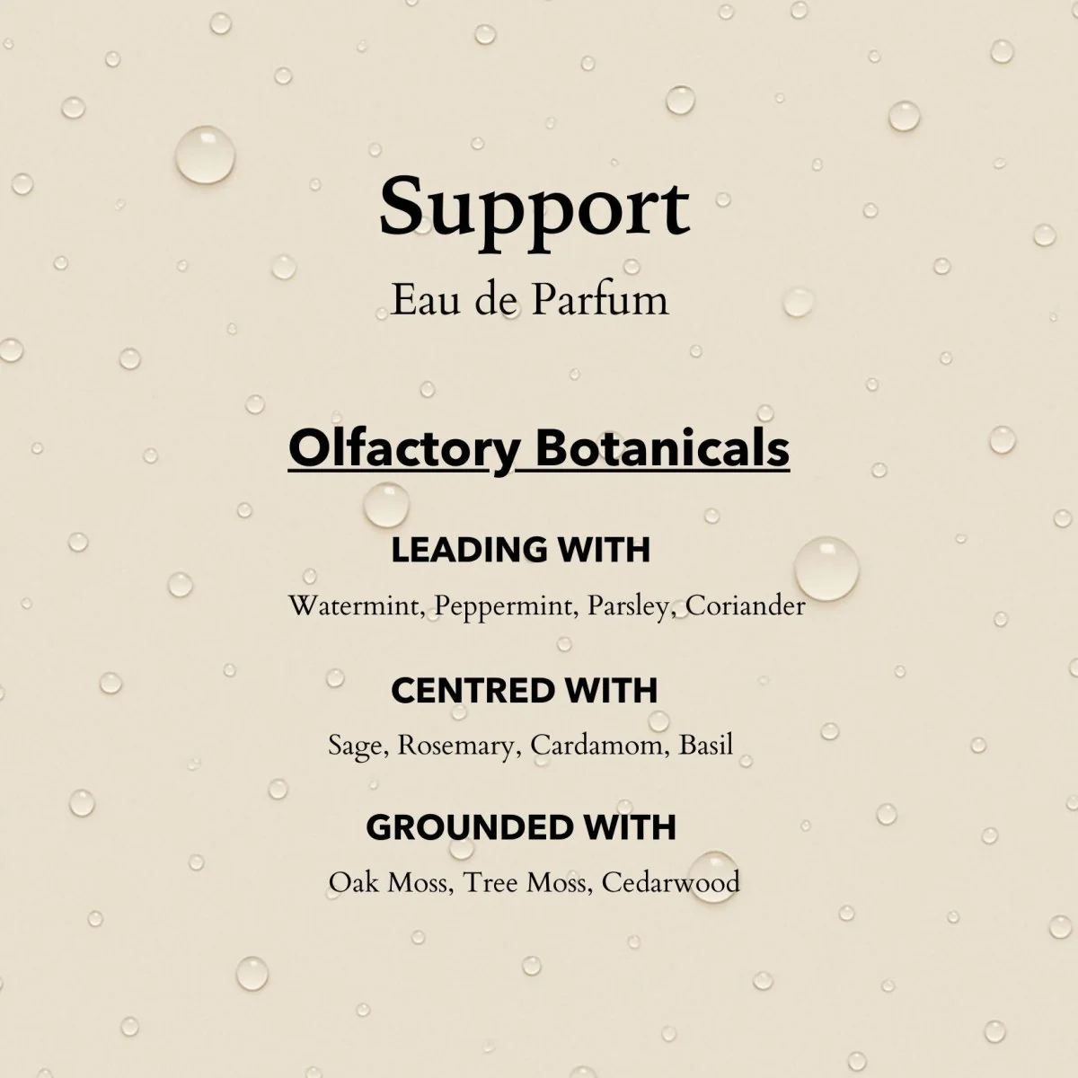 Anatomē - Support Functional Parfum  10ml - Image 3