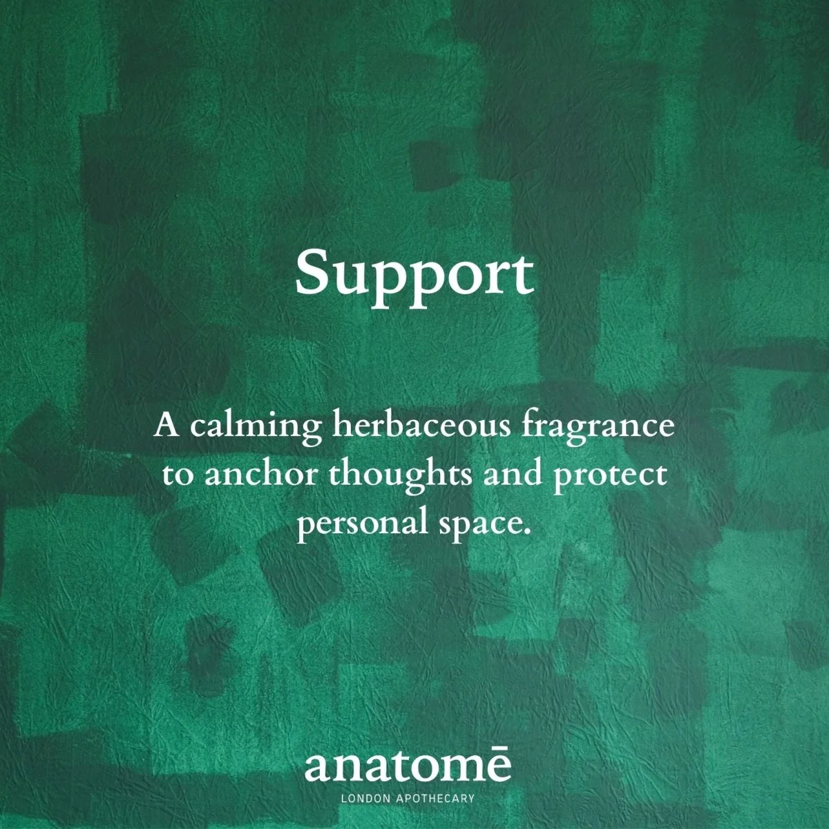 Anatomē - Support Functional Parfum - Image 3