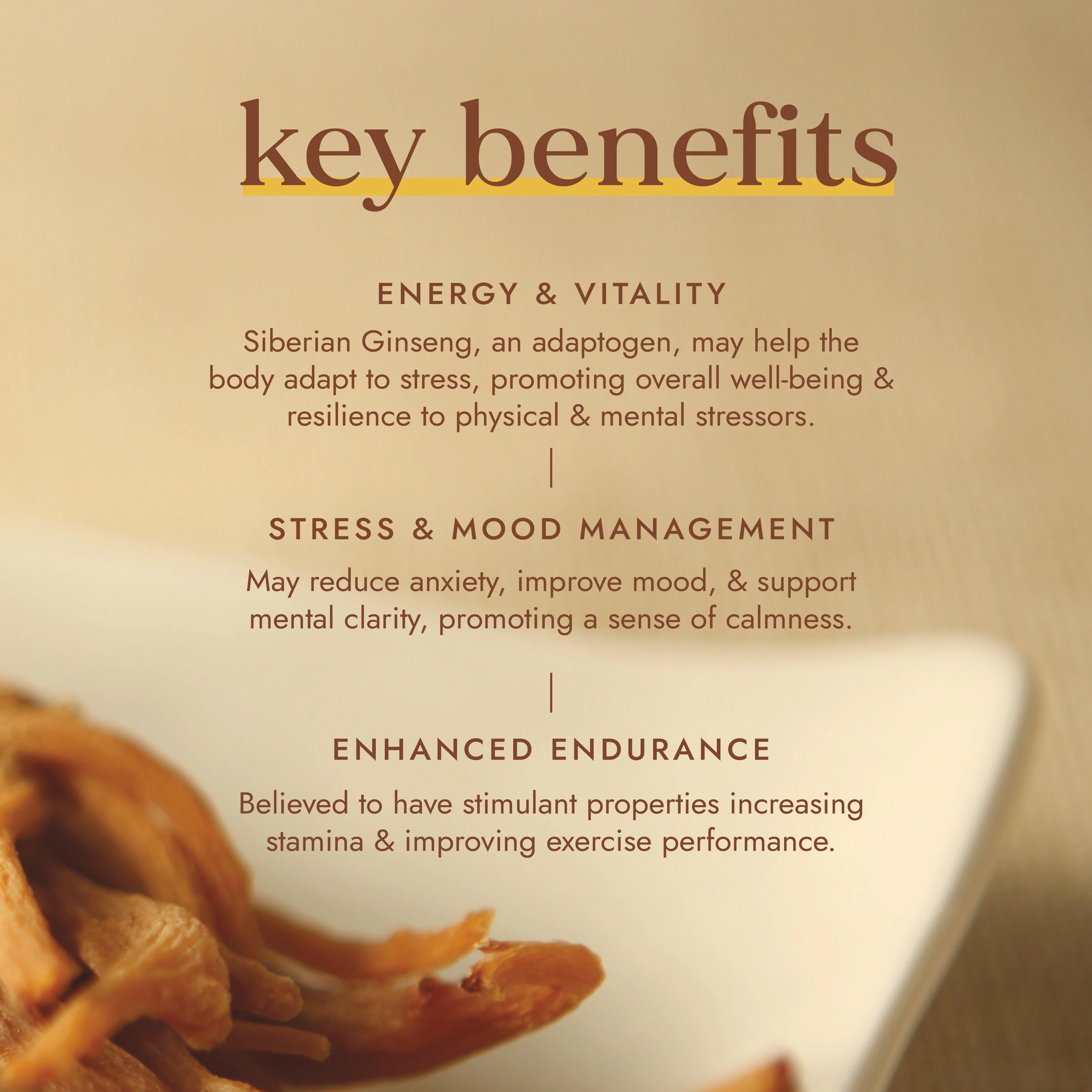 Fushi Wellbeing - Organic Siberian Ginseng - Image 5