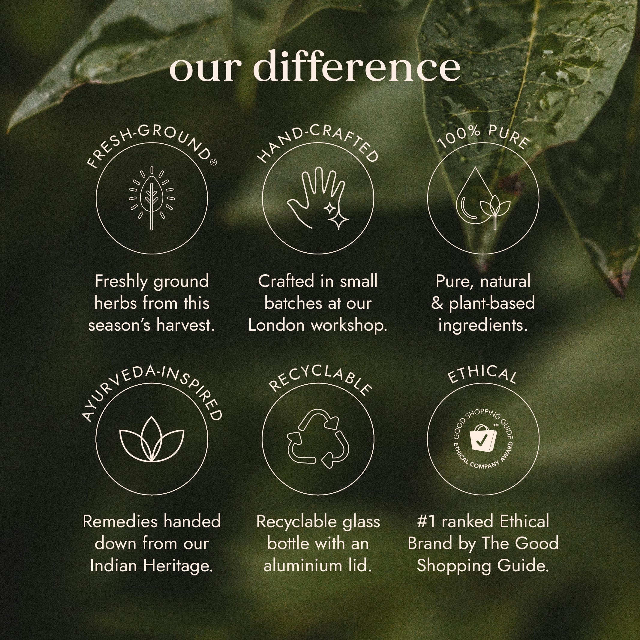 Fushi Wellbeing - Vegan Collagen Builder - Image 8