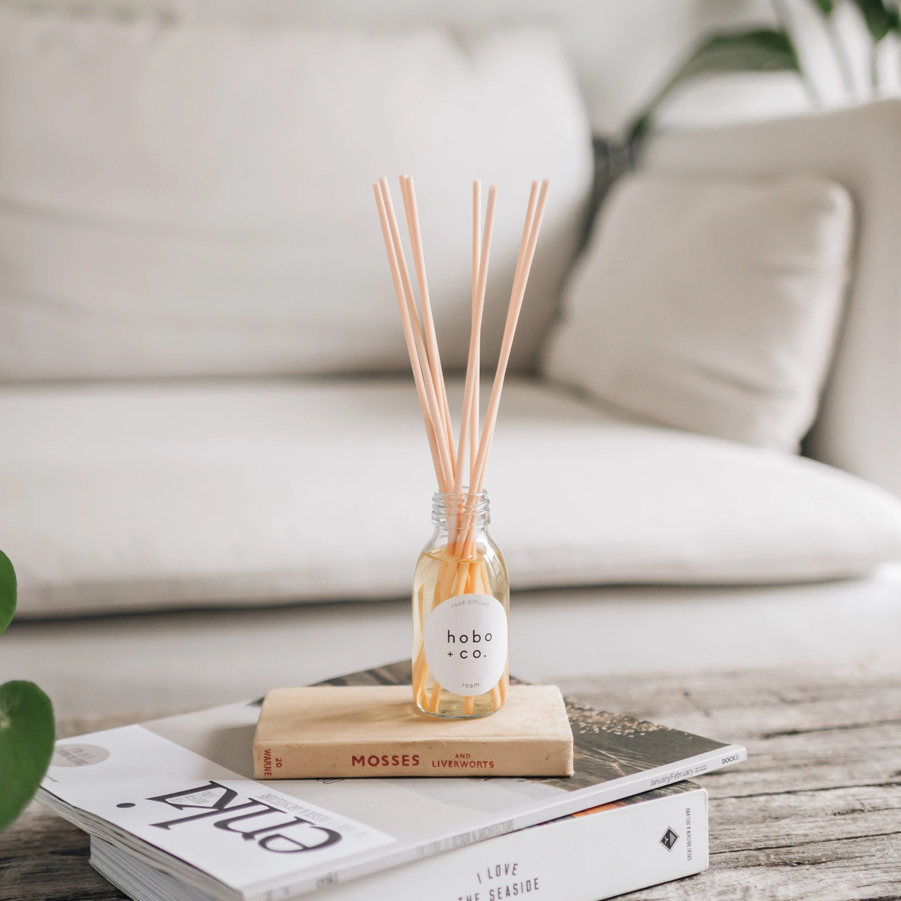 Hobo+Co - Fig and Cassis Reed Diffuser - Image 2