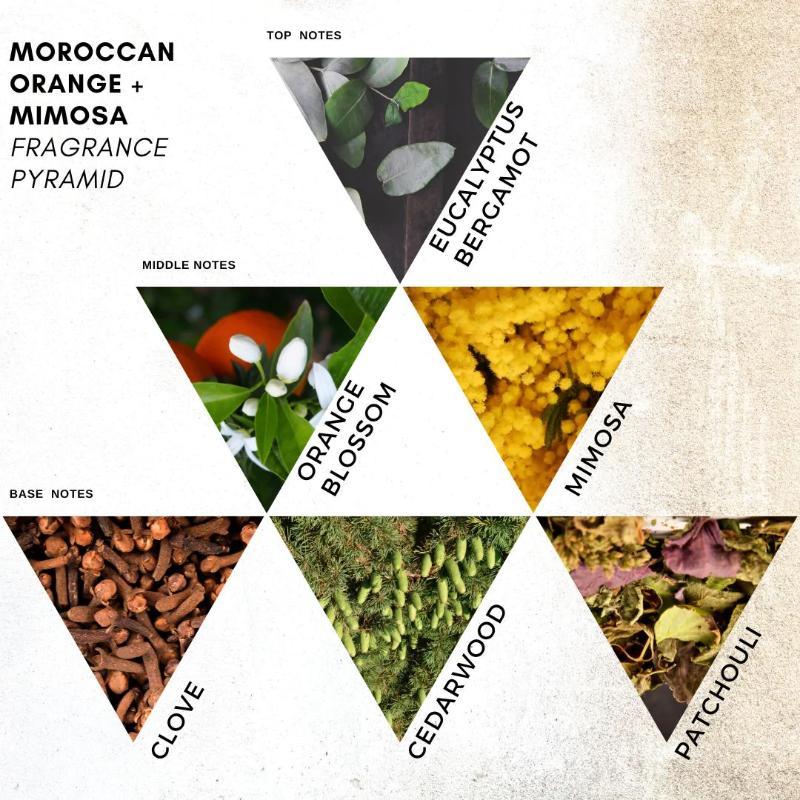 Holistic London - Moroccan Orange + Mimosa Scented Candle 180ml - Image 4