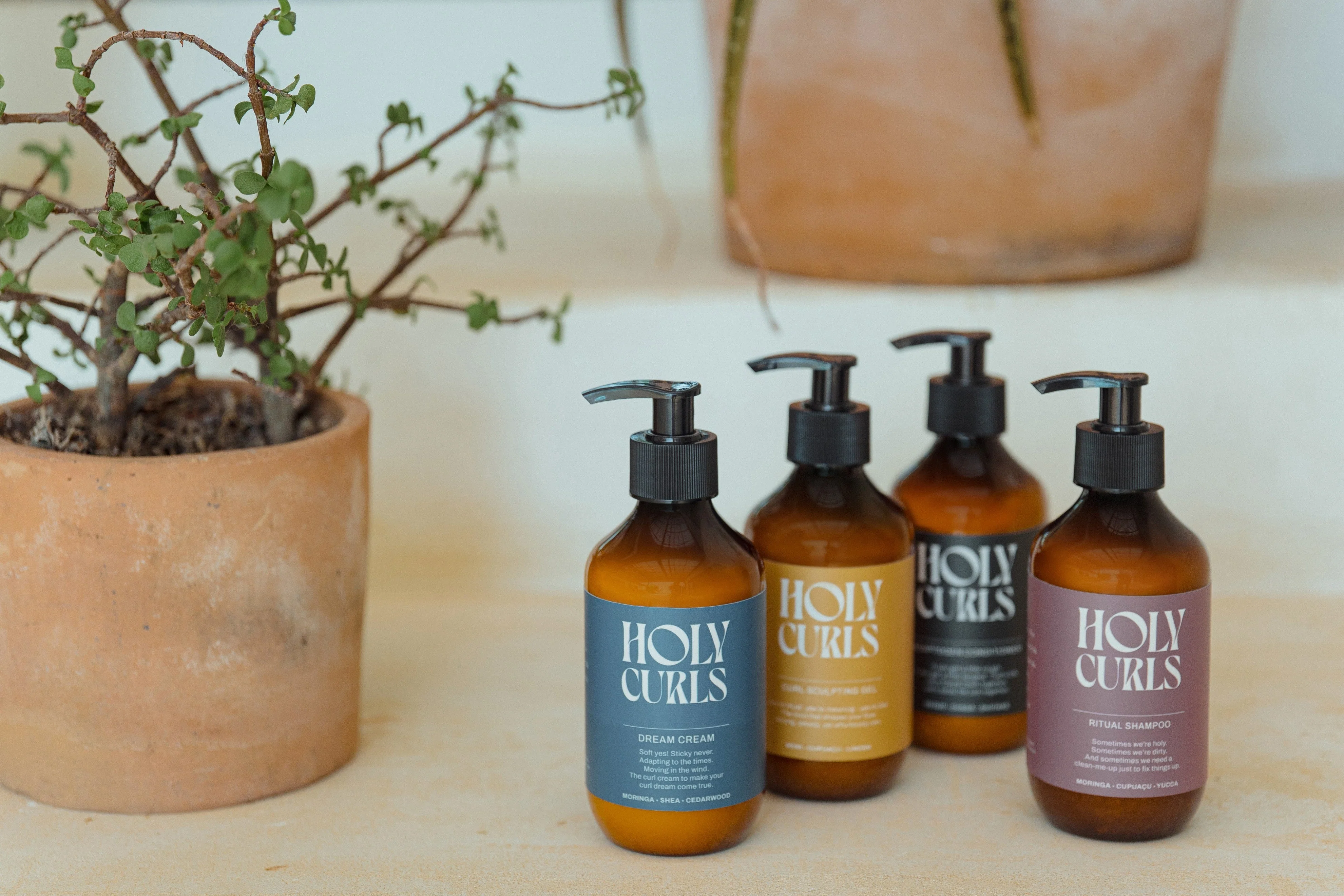 Holy Curls - The Essential Bundle - Image 3