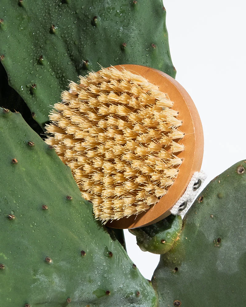 Legology Lymph-Lite Dry Body Brush - Image 2