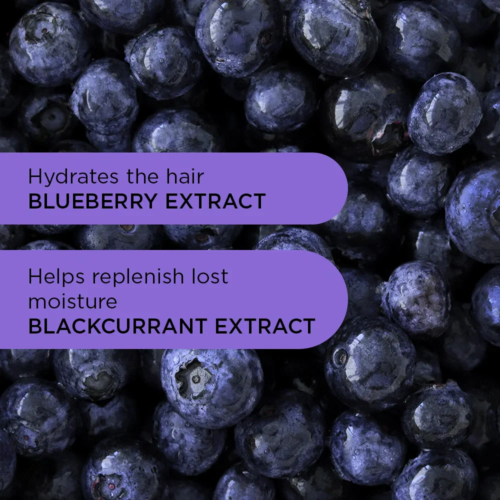 Noughty Haircare Purple Reign Conditioner - 250ml - Image 4