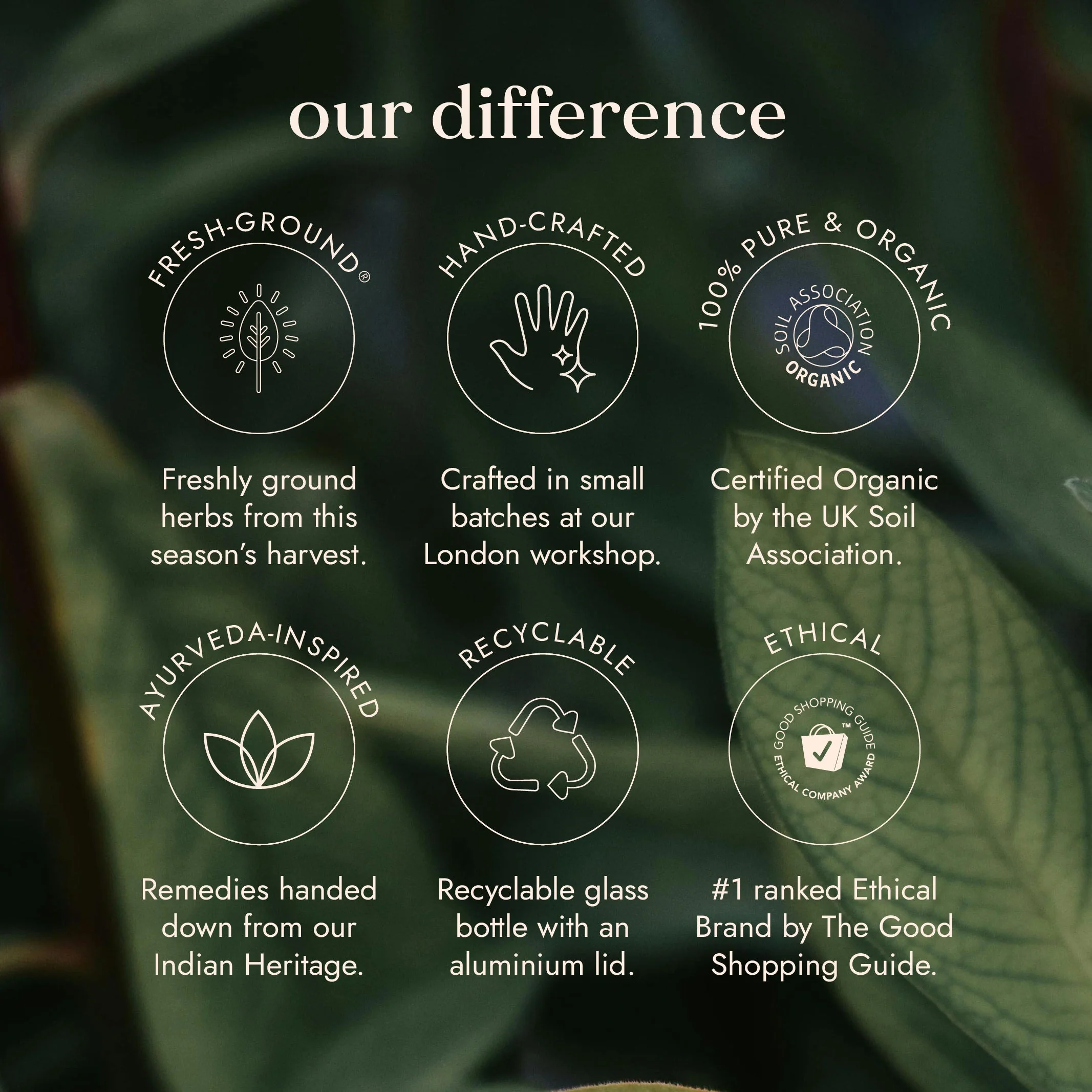 Fushi Wellbeing - Organic Ashwagandha for Stress & Sleep Support - Image 7