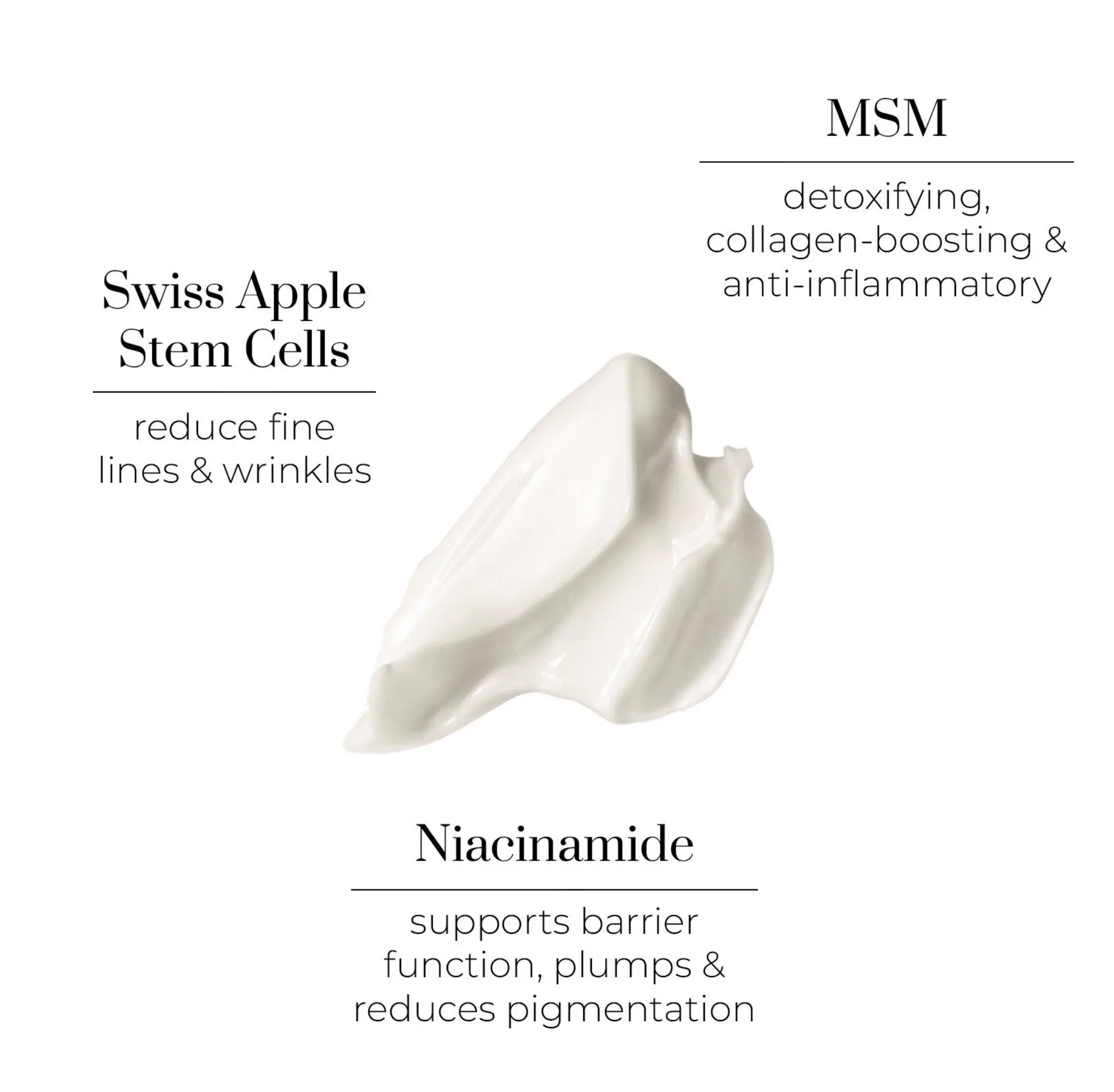 Oskia Bedtime Beauty Boost Nutri-Active Nourishing and Regenerating Night Cream 50ml. - Image 2
