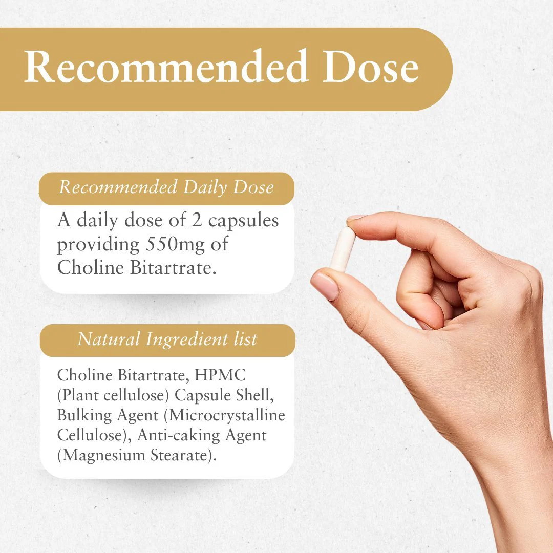 Purer The Choline Capsule - Image 2