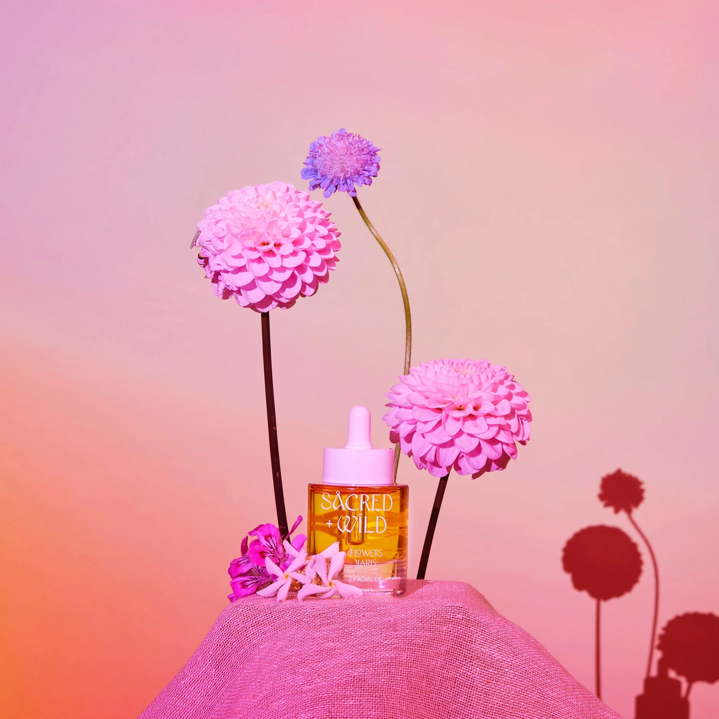 Sacred + Wild Organic Facial Oil with Prickly Pear + Bakuchiol - Image 4