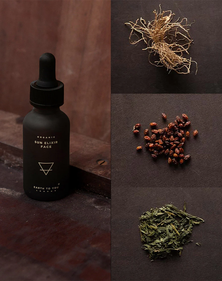 Earth to You - Sun Elixir - Face - Image 2